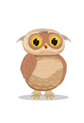 Owl bird on white isolated background vector graphics