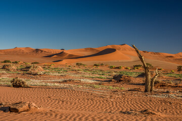 D&eacute;sert du Namib