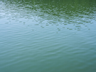 green water waves in sunnyday