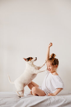 funny kid girl feeds with palm of hand a dog in white bed. dog is falling. 
