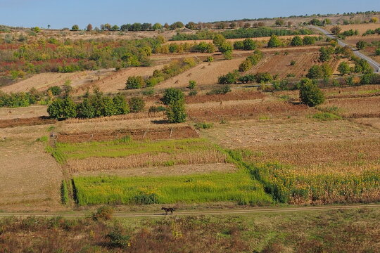 Mesoregion Bilder Durchsuchen 183 Archivfotos, und