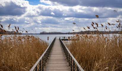 Wooden pier with light brown, dry reeds and a view of the lake