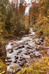 Autumn in the Magic Forest near Ramsau in Berchtesgadener Land, Bavaria, Germany.