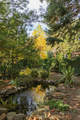 Beautiful small Garden Pond with frog-shaped Fountain and Stone banks. Golden Autumn in Landscaped Garden. Reflection of yellow leaves of deciduous plants on water surface of Pond. Selective focus.