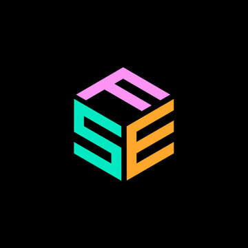 Hexagon shape with the letters FSE