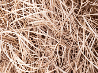 Bambus Gras vertrocknet Hintergrund Muster