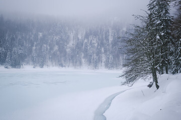 The frozen Lac des Corbeaux under the clouds, La Bresse, Vosges. France