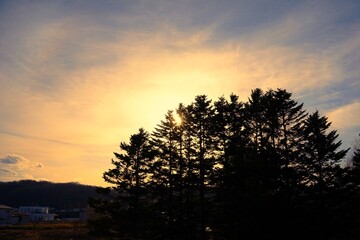 北海道、田舎の夕暮れ