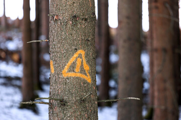 a warning sign on a tree in a winter forest