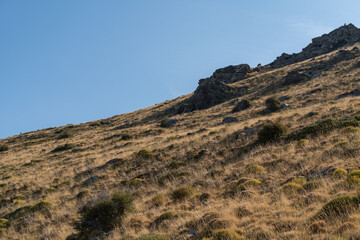 mountainous landscape of Sierra Nevada