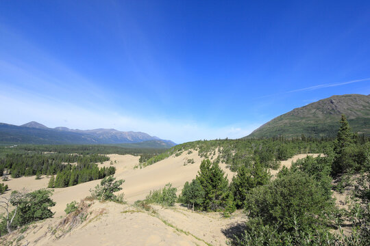 sand dunes called carcross desert and mountain view, Yukon, Canada