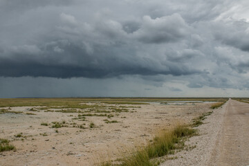 Parc national d'Etosha