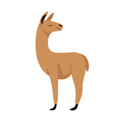 Cute lama - cartoon animal character. Vector illustration in flat style isolated on gray background.