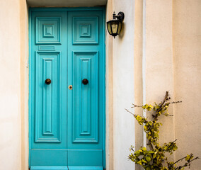 Light blue doors with plant on a side and and lamp