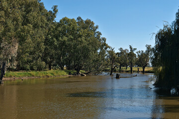 a river view from the bank with trees along the side and a sunny day