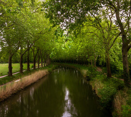 calming spring scene of Beautiful landscape of the Canal du Midi. A Captivating View of the Beautiful Landscape Along the Canal du Midi, Embracing the Serenity and Charm of this water route