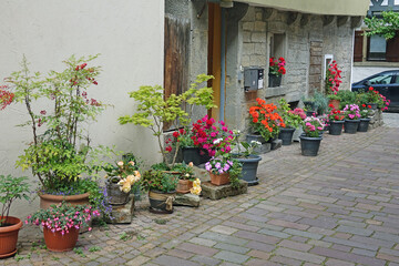 Fototapeta na wymiar Blumen an einem Haus in Besigheim