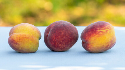 Ripe juicy peaches on the table in the garden in sunny weather