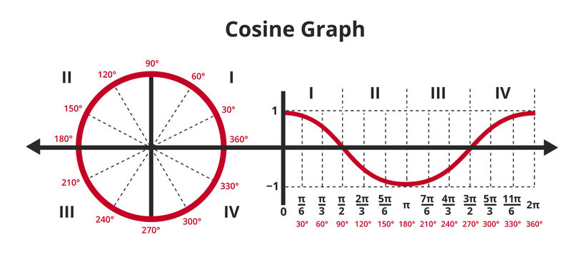 Vector mathematical illustration of cosine curve in graph or chart and unit circle showing cosine graph. Gonometric or goniometric function. The icon is isolated on white. Sine function, y=cos x.