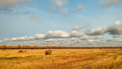Landscape with a view of a mown rye field on which there are bales of hay