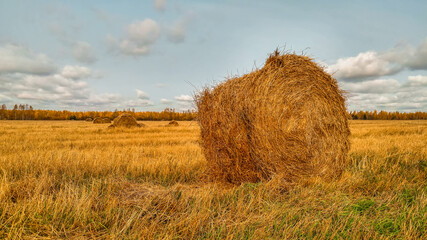 A bale of hay standing on a field in autumn
