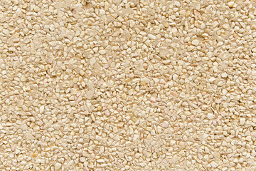 The texture of the wall made of plaster and small white stones. Background for design and decoration. White gravel backdrop.