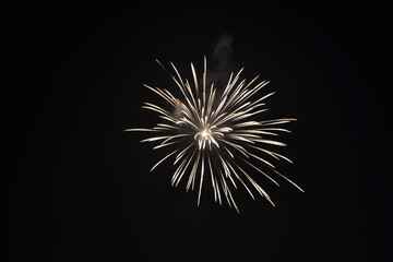 Fototapeta premium Firework during a celebration of a festival or new year or party