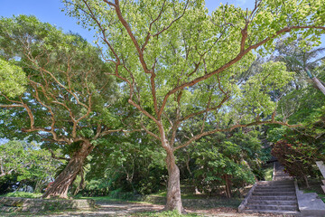 沖縄県南城市佐敷グスク跡