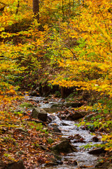 Obraz premium Kleiner Bach mit Wasserfällen im Harz