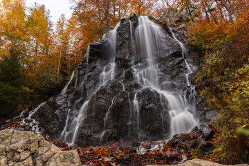 Der Radau-Wasserfall bei Bad Harzburg, Harz, Deutschland