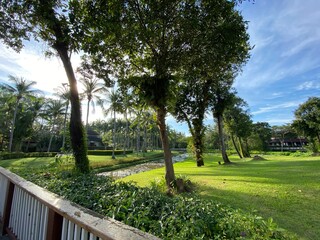 tropical green gardens