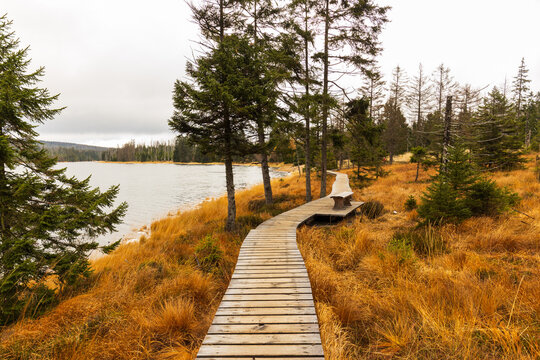 Oderteich, Nationalpark Harz, Deutschland