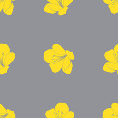 Seamless pattern of yellow azaleas flowers on ultimate gray background