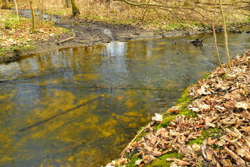 Small quiet river in the old park.