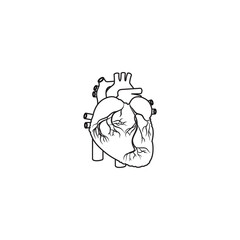 Modern Minimalistic Human Heart Line Icon Vector. Simple Heart Outline sign for human anatomy, medical or healthcare concept. Heart Anatomy symbol isolated on white background.