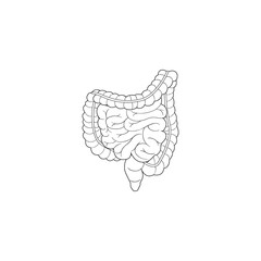 Modern Minimalistic Human Intestine Line Icon Vector. Simple Intestine sign for human anatomy, medical or healthcare concept. Outline Intestine Organ symbol isolated on white background.