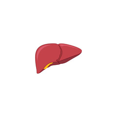 Modern Minimalistic Human Liver Icon Vector. Simple Liver sign for human anatomy, medical or healthcare concept. Liver organ symbol isolated on white background.