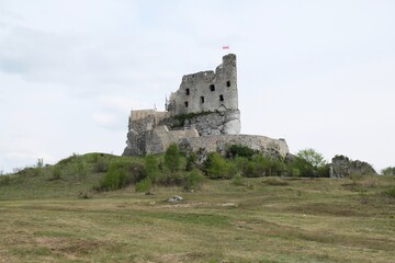 Fototapeta na wymiar Mirow Castle on Eagles Nests trail. Medieval fortress in Krakowsko-Czestochowska Upland, Trail of Eagle's Nests, Silesia, Poland