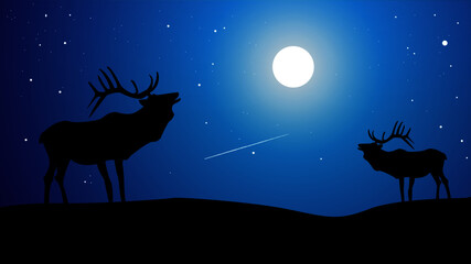 DEER in the FULL MOON night