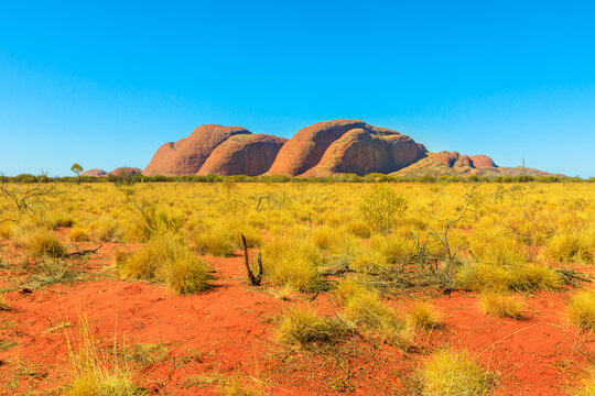 Uluru, Northern Territory, Australia - Aug 25, 2019: domed rock formations of Kata Tjuta or Mount Olgas in Uluru-Kata Tjuta National park. Australian outback Red Centre. Copy space with blue sky.