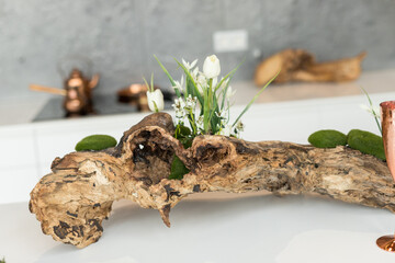 Close up of kitchen design in eco style