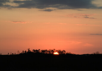 Fototapeta na wymiar Everglades sunset