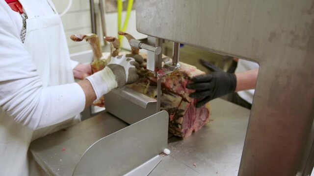 Raw dry aged wagyu porterhouse and tomahawk steak block during cut up as close-up at the bench band saw