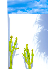 Plants fashion wallpaper. Cactus on white wall and blue sky. Minimal tropical design. Travel holiday relax nature concept. Canary Islands © Porechenskaya