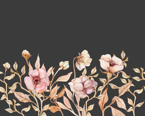Peony flower border illustration