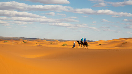 Fototapeta na wymiar Camel Trek through Moroccan Sahara