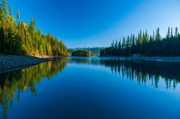 Fototapeta premium reflection of trees in water