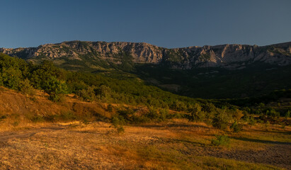 Forest covered rocks in the light of the rising sun on a warm summer morning