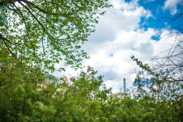 view of the eiffel tower from the park