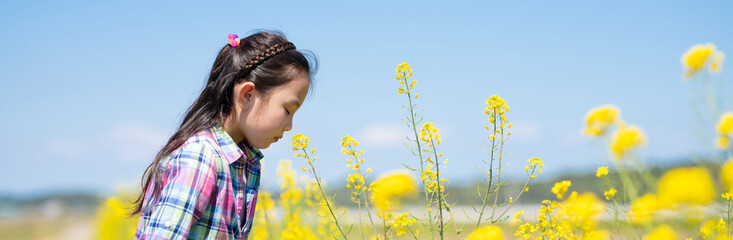 菜の花の香りを嗅ぐ少女